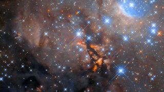 Hundreds of bright blue stars sparkle against the dark background regions of dust clouds, from which new stars are born, including the massive protostar OH 339.88-1.26, which lurks at the center of this image, behind the dark vertical streak.