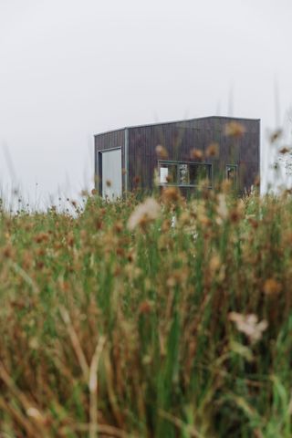 exterior of one of Common Knowledge's tiny homes in field