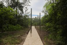 The Duho Pavilion by Limbo Accra, a slender installation in a cayman island forest