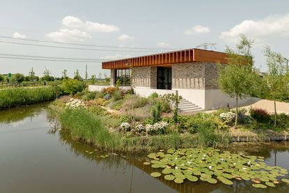 rotterdam house with pond and lillies