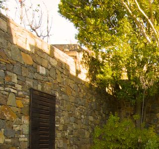 stone wall and wooden door among nature