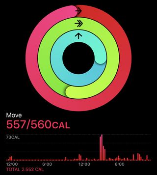 Apple Watch Activity Screenshot