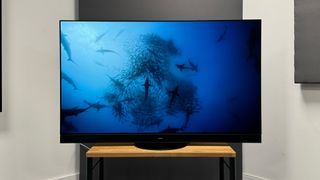 OLED TV: Panasonic TX-65MZ2000B