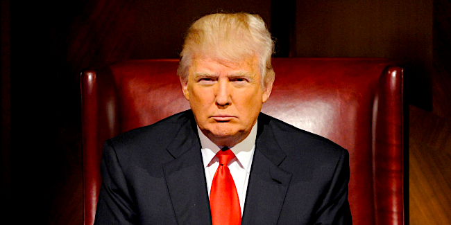 donald trump the apprentice