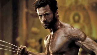 Hugh Jackman as Wolverine