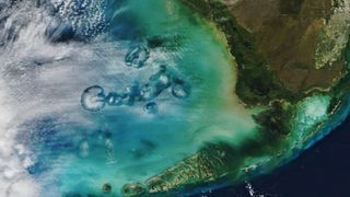 an overhead view of clouds with circular holes in them. the ocean and the edge of a landmass can be seen beneath them