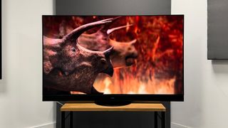 OLED TV: Panasonic TX-65MZ2000B