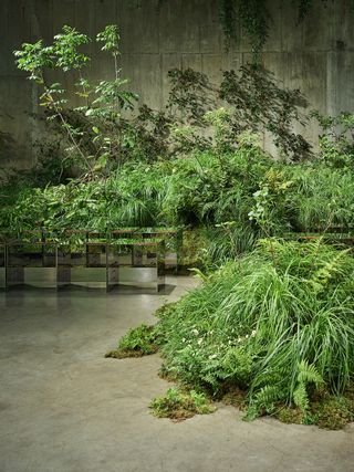 Gucci Cruise 2025 Show Set featuring plants against concrete show set at Tate Modern