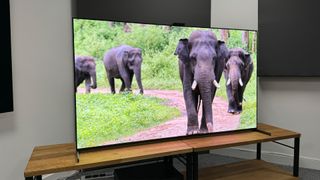 QD-OLED TV: Sony A95L showing elephants from Our Planet II on Netflix