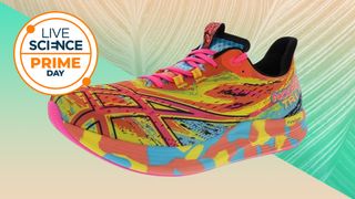 Asics NOOSA TRI 15 Running Shoes