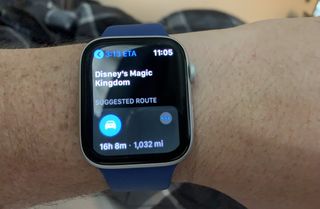 Apple Watch maps