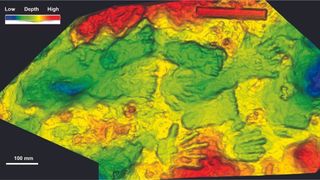 3D rendering shows hand and footprints left by ancient hominin children