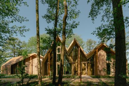 the lake house exterior showing volumes with pitched roofs clustered together among trees