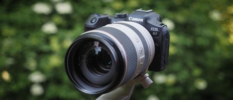 Canon EOS R7 sample