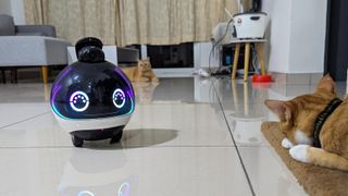 Enabot EBO X smart guardian robot