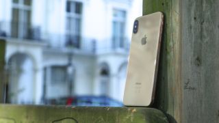 An iPhone XS Max from the back, resting against some wood