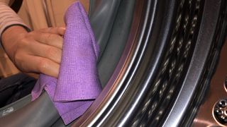 How to clean a washing machine: Washing machine gasket