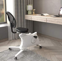 FlexiSpot 2 in 1 Fitness Chair: was $399 now $249 @ Flexispot &nbsp;