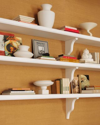 Bookshelf with books