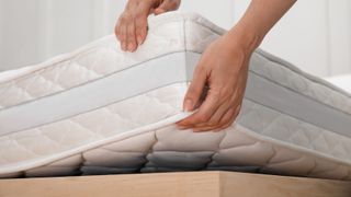 A person lifts up the edge of a mattress