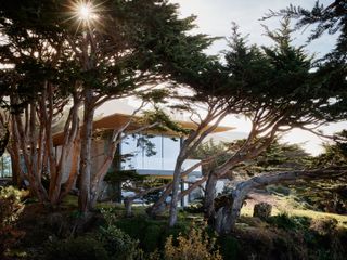 Field Architecture Big Sur home