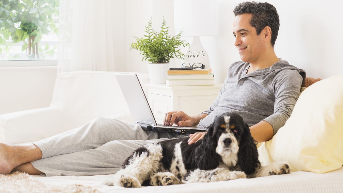 How do mattress warranties work: A man lies on his bed with his dog while reading about his mattress warrnty