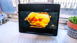 iPad Pro 2021 (12.9-inch) review: Display — birds of prey