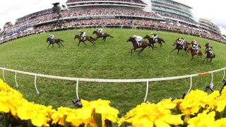 Fisheye lens image of horses galloping, including jockey Mark Zahra riding Gold Trip to win the Melbourne Cup in Australia