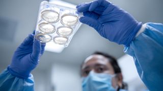 Scientist wearing a blue surgical mask is shown holding up a lab dish containing size circles which contain a clear fluid with what appears to be small white bubbles in it. The scientist is looking at the lab dish and is wearing a blue lab coat and gloves. The scientist is slightly blurred while the dish is clear.