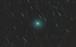 Comet 46P/Wirtanen from Madrid