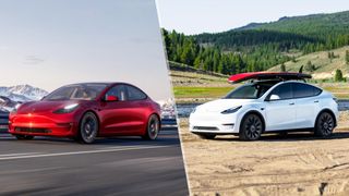 tesla model 3 vs tesla model y