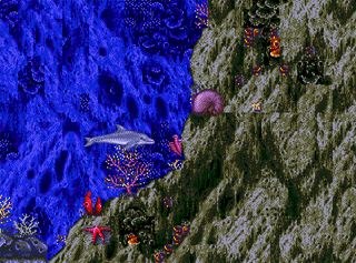 ecco the dolphin