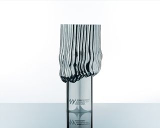 Silver Puig Women's Americas Cup trophy with reddish interior