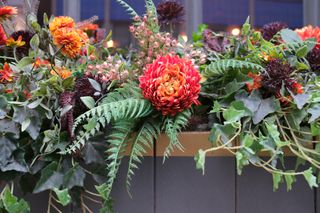 Flowers in a window box