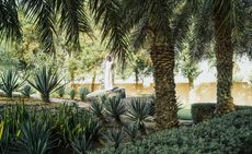 Mohamed Alabbar standing on a large rock in one of his gardens