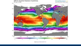 A map showing sea surface temperatures with warm colors indicating higher temperatures. the warmest colors (red, orange, yellow) can be seen at the equator, and cooler colors (green, blue, purple) as you approach the poles