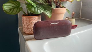 Wireless speaker: Bose SoundLink Flex