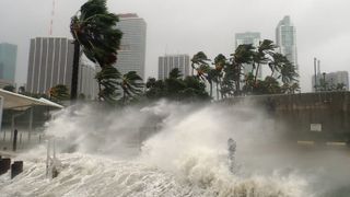 Breaking waves of a storm surge and palm trees being heavily blown by wind in Miami