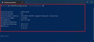 Get-NetIPConfiguration InterfaceIndex