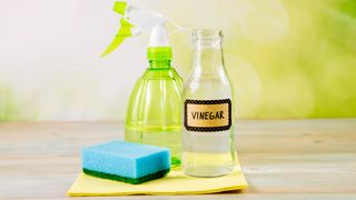 White vinegar and spray bottle