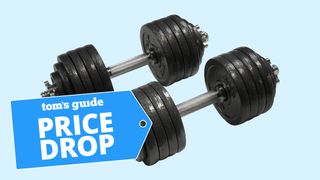 CAP Adjustable dumbbells