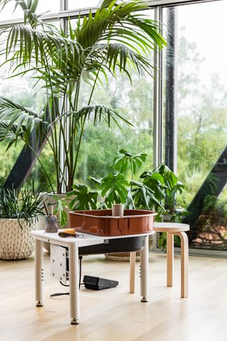 Seth Rogen Houseplant residency in a mid-century home in LA