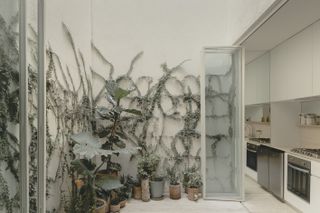 Antonio Solá housing courtyard with climbing plants