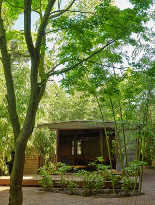 ladbroke hall garden