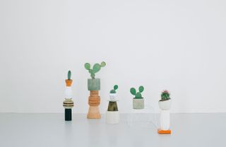 Kaktus København opens succulent new concept store