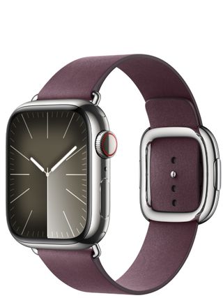 Apple Watch Modern Buckle