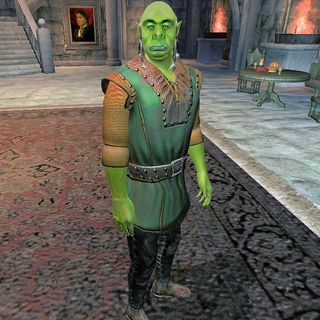 Oblivion NPC