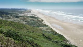 green shrubs and grass on the left and a long sandy beach with crashing waves on the right.