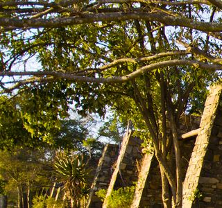 side of stone house among nature