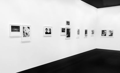 New photographic exhibition &#039;Sonic